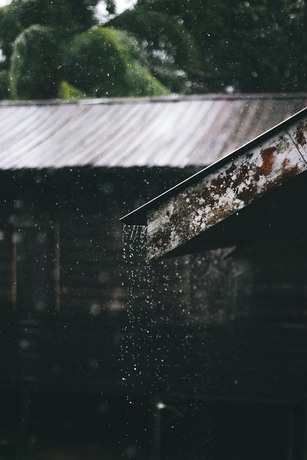 ഈ മഴക്കാലത്ത് ഭക്ഷ്യവിഷബാധ അകറ്റിനിര്‍ത്താം